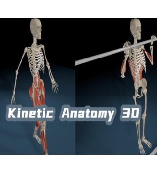 Kinetic Anatomy 3D Steam Key GLOBAL